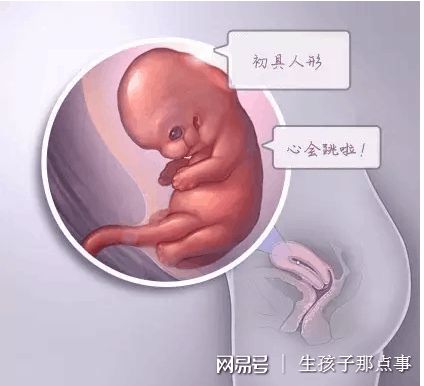 关于拉拉供卵服务微信群